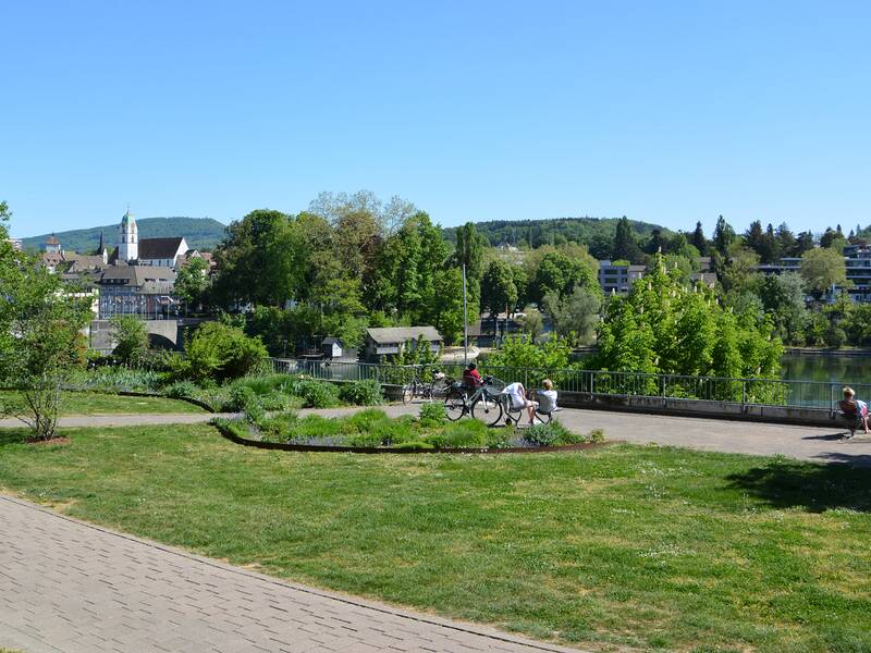 Blick auf den oberen Salmeggpark mit Bänken