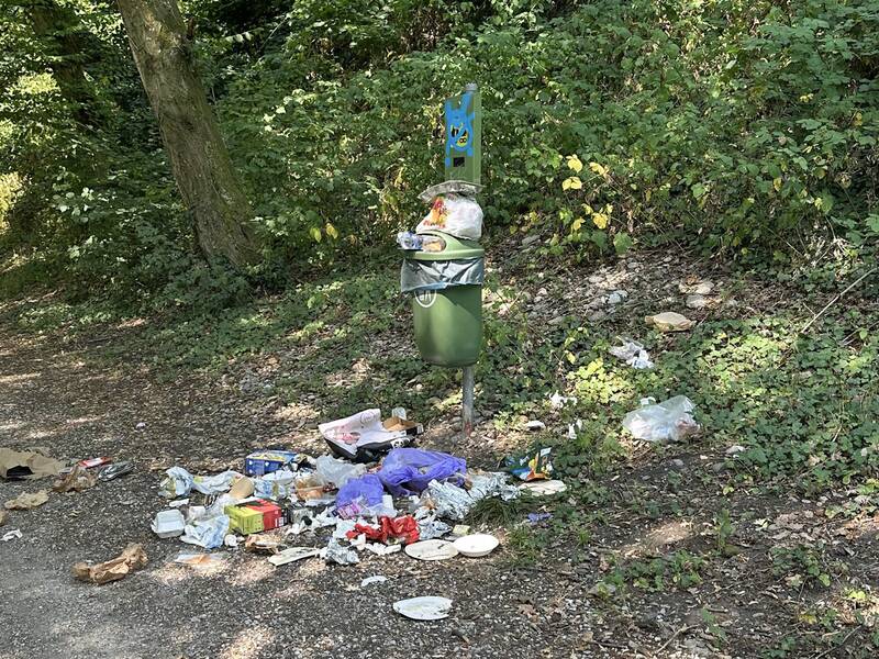 Ein überfüllter Mülleimer neben einem Waldweg, umgeben von verstreutem Müll und Abfall.