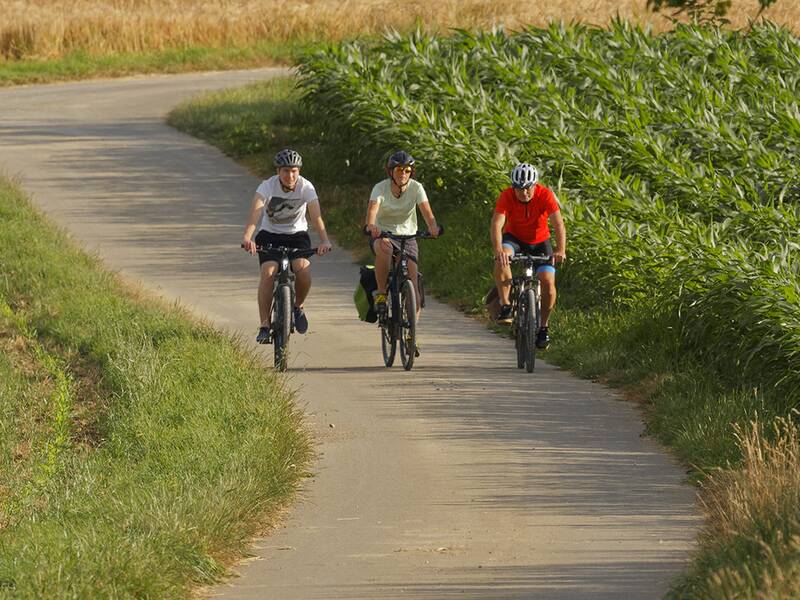 Drei Radfahrer auf einem Feldweg zwischen Getreidefeldern auf dem Dinkelberg.