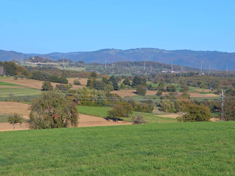 Die Dinkelberglandschaft mit Feldern, Weisen und Bäumen