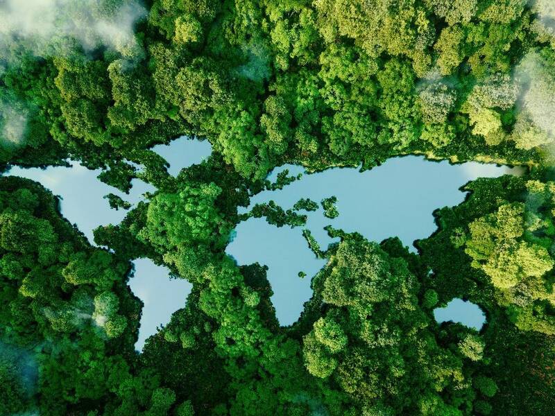 Die Weltkarte, Kontinente sind als Seen dargestellt, darum herum Wälder