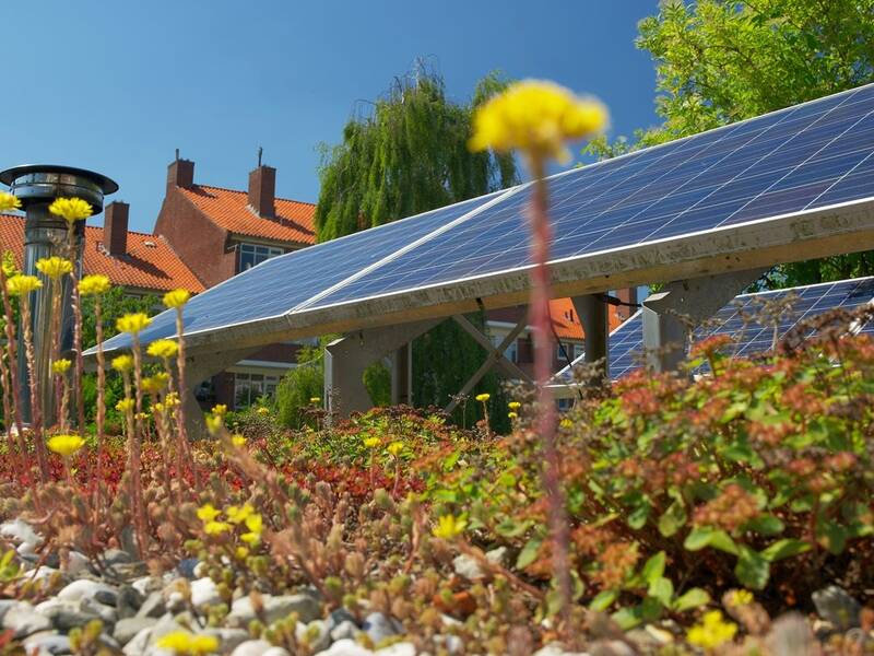 Solaranlage und Dachbegrünung auf einem Flachdach