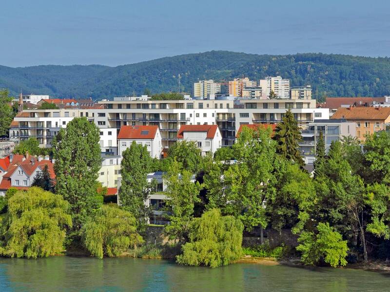 Der Adelberg mit Bebauung, im Vordergrund der Rhein