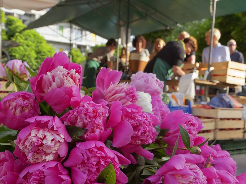 DerWochenmarkt mit seinen Obst- und Gemüseständen, im Vordergrund ein Strauß Pfingstrosen.