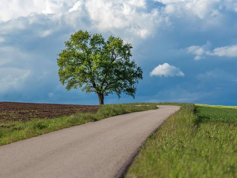 Weg, der zu einem Baum führt, links und rechts sind Grünflächen beziehungsweise Felder. Im Hintergrund blauer Himmel mit Wolken. 