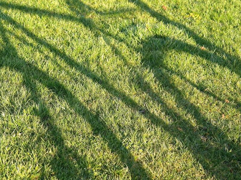 Schatten eines Fahrrads auf Rasen.