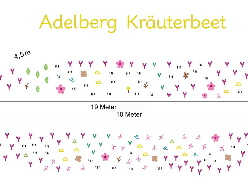 Pflanzplan Kräuterbeet Adelberg