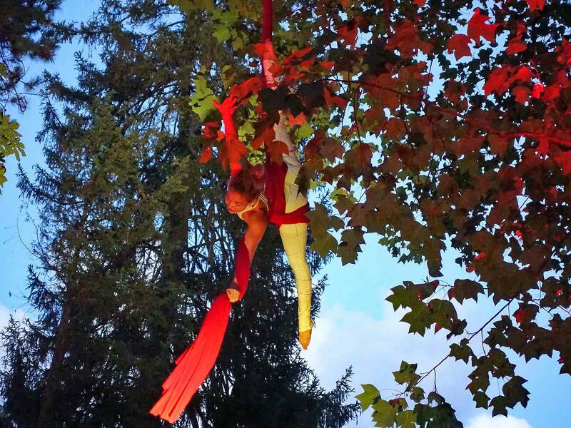 Eine Tuch-Akrobatin in einem Baum hängend