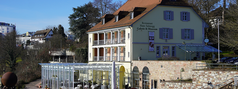 Blick auf Haus Salmegg - ein architektonisch schönes, gelb gestrichenes Gebäude direkt am Rhein. 