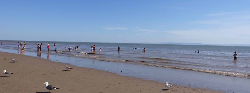 Viele Menschen genießen einen sonnigen Tag am Strand, während Möwen im Vordergrund auf dem Sand stehen.