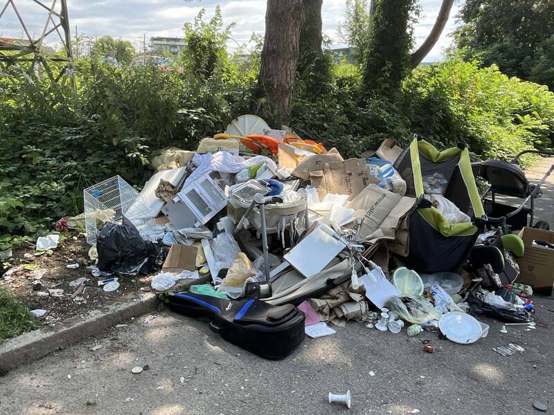 Ein Haufen verschiedener weggeworfener Gegenstände, darunter Pappkartons, Plastiktüten und ein Kinderwagen, liegt am Straßenrand neben dichtem Grün.