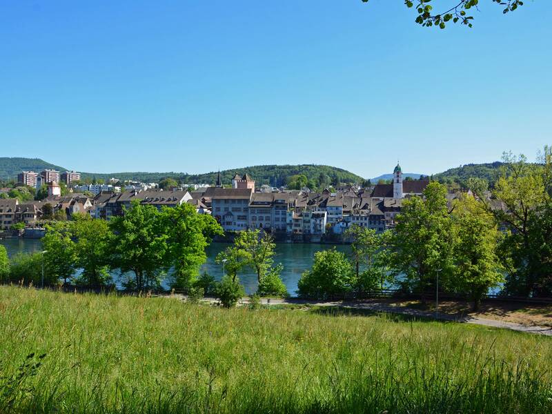 Ein Blick über eine grüne Wiese hinweg zeigt einen Fluss, hinter dem eine Stadt, Rheinfelden (Aargau), mit alten Gebäuden und einem Kirchturm vor bewaldeten Hügeln liegt.