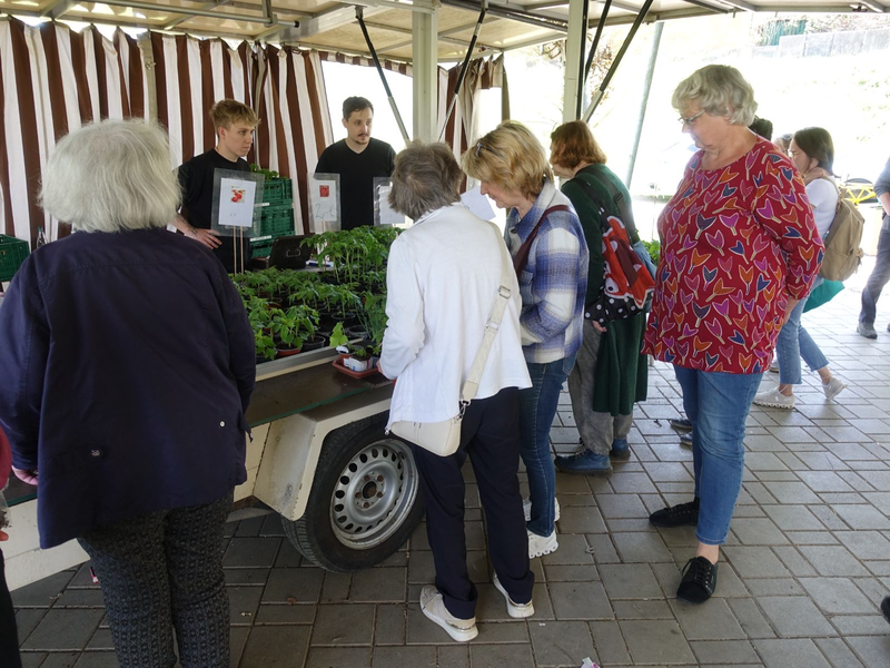 Besucher des Pfanzenflohmarkts lassen sich von den Auszubildenden der Stadtgärtnerei an deren Stand beraten. 