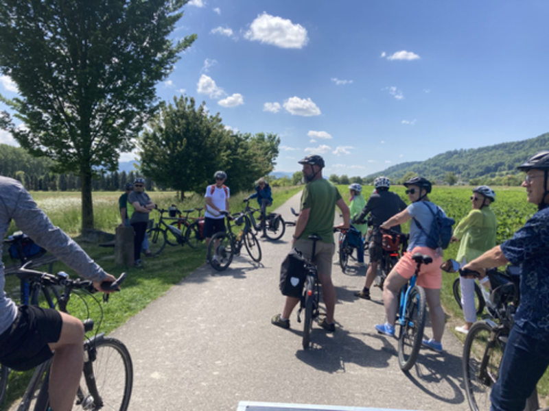 Eine Gruppe von Radfahrern macht bei sonnigem Wetter eine Pause auf einem ländlichen Radweg, umgeben von Bäumen und Feldern.